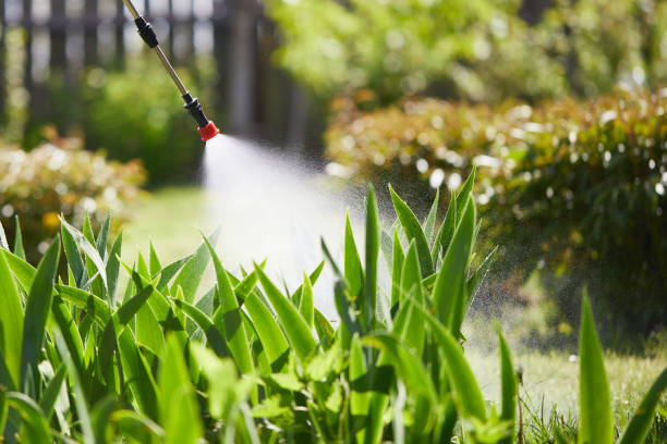 24/7 Emergency Fumigation Services experts in Thiensville, WI